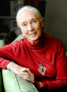 Jane Goodall