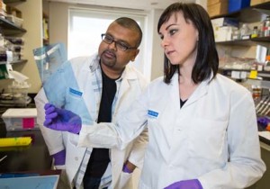 Kartik Chandran '95 reviews data with a colleague. Photo courtesy Albert Einstein College of Medicine