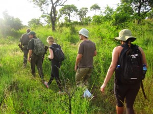 Voices of South Africa