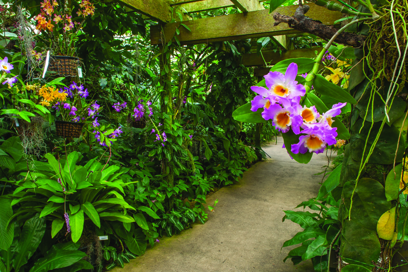Conservatory at Marie Selby Botanical Gardens
