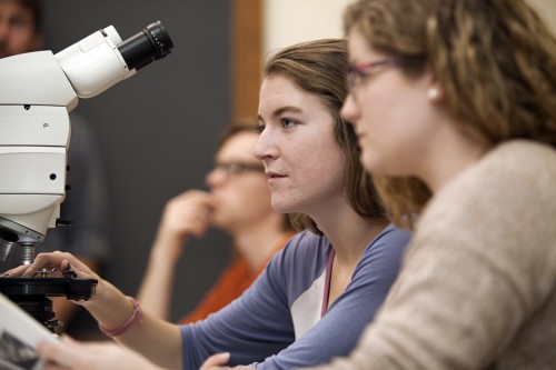 Annika Leiby '18 and Lissie Connors '18 analyze a slice of rock.