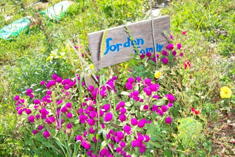community-garden0093