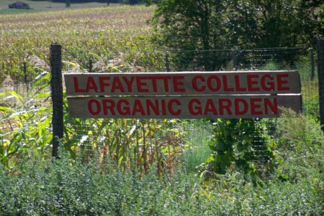 community-garden0097