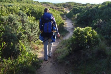 jessika-luth01_otway-ranges_2.jpg