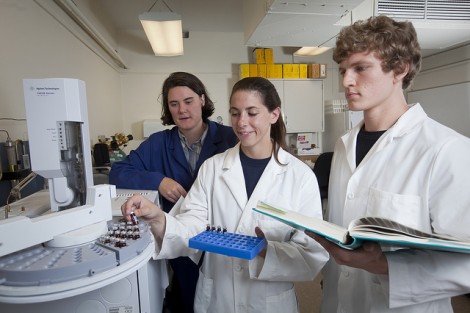 Professor Kira Lawrence works in her lab with Alexandria Brannick '12 and visiting student Christopher Schaupp of Luther College in Iowa.