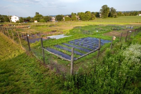 Lafayette College Organic Garden near Metzgar Fields on Sullivan Trail