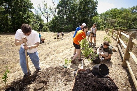 Students in Professor David Brandes’ Water Resources course plant trees and shrubs.  