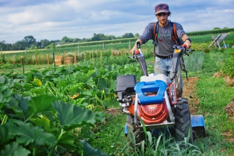 Joseph Ingrao '16 tills a section of the farm.