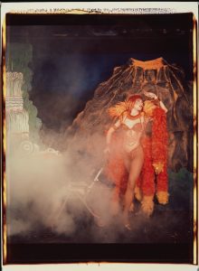 Artist William Wegman's photo 'Inferno'