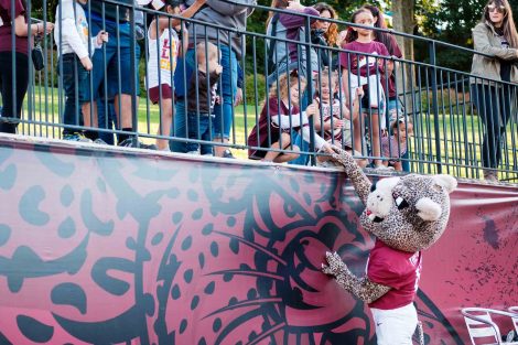 The Leopard mascot shakes a child's hand at the football game during Family Weekend.