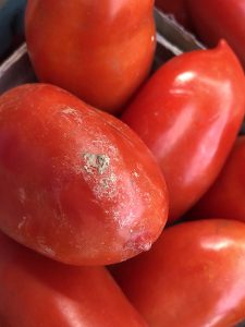 Tomatoes
