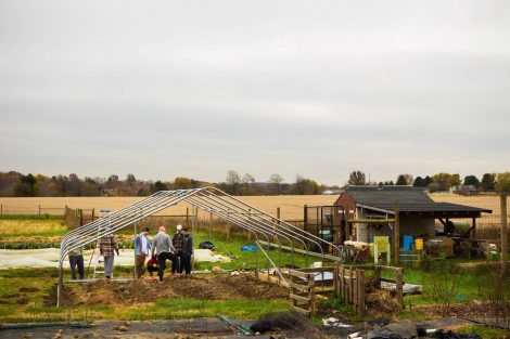 Members of Phi Psi fraternity help with the building of a hoop house, a 22-by-21-foot structure that will help LaFarm extend its growing season earlier in spring and later in fall.