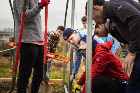Members of Phi Psi fraternity help with the building of a hoop house, a 22-by-21-foot structure that will help LaFarm extend its growing season earlier in spring and later in fall.