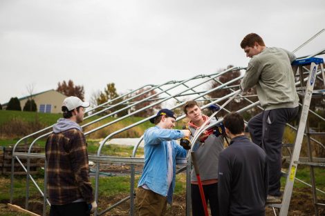 Members of Phi Psi fraternity help with the building of a hoop house, a 22-by-21-foot structure that will help LaFarm extend its growing season earlier in spring and later in fall.