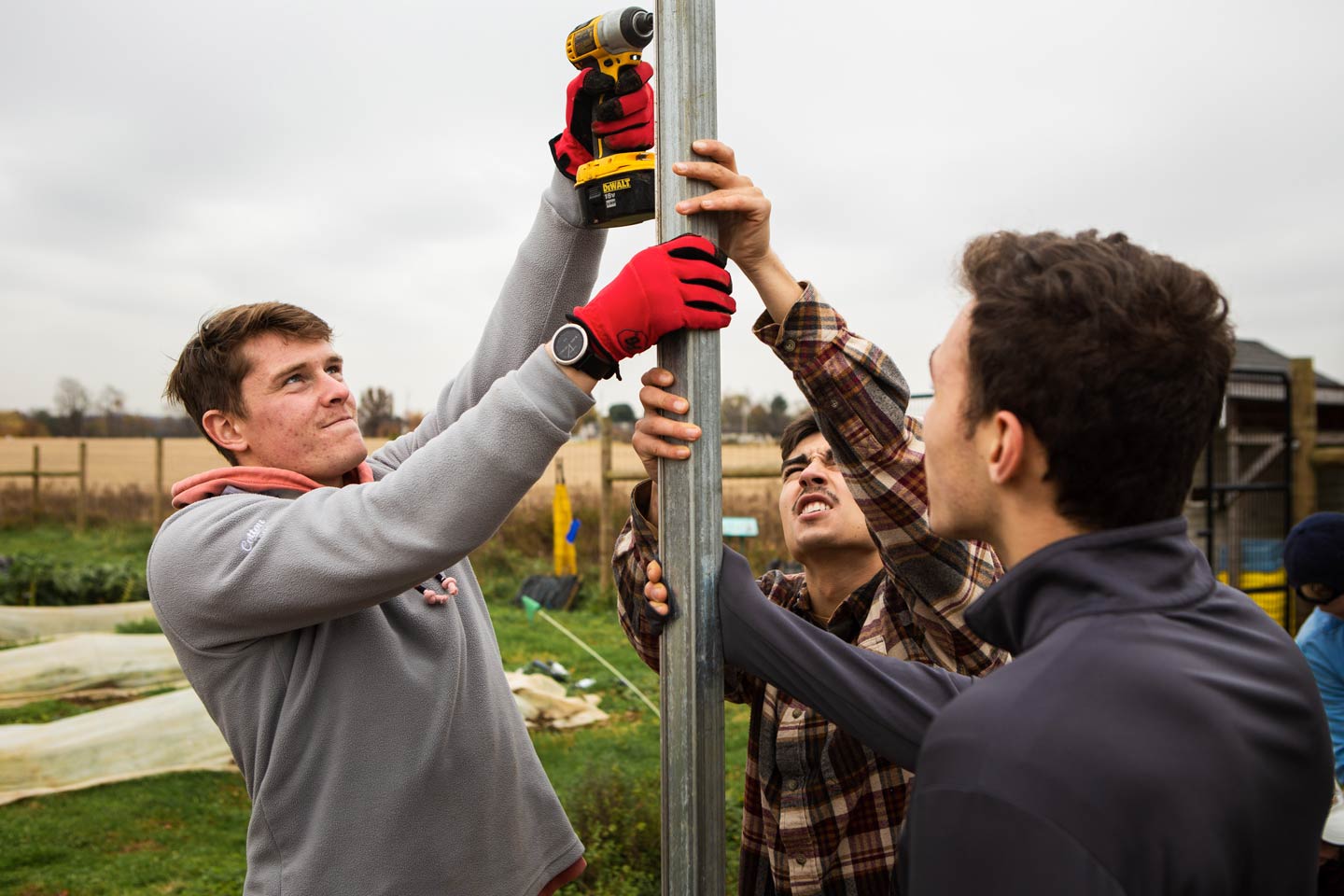 Members of Phi Psi fraternity help with the building of a hoop house, a 22-by-21-foot structure that will help LaFarm extend its growing season earlier in spring and later in fall.