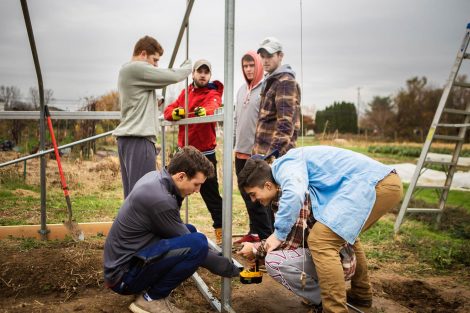 Members of Phi Psi fraternity help with the building of a hoop house, a 22-by-21-foot structure that will help LaFarm extend its growing season earlier in spring and later in fall.