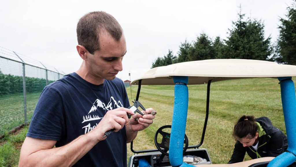 Mike Butler examining bird