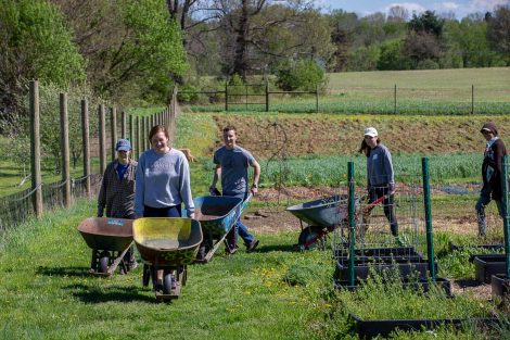 Students gardening at LaFarm for Lafapalooza