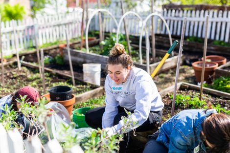 Students gardening at Easton Urban Farm for Lafapalooza