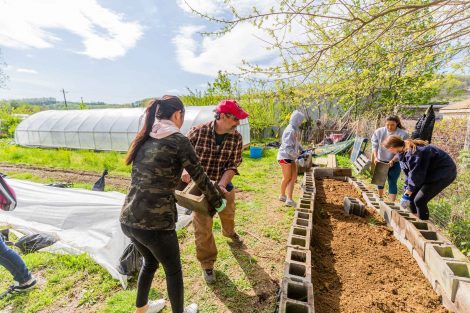 Students gardening at Easton Urban Farm for Lafapalooza