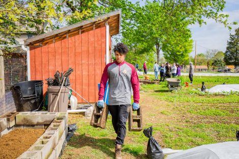 Students gardening at Easton Urban Farm for Lafapalooza