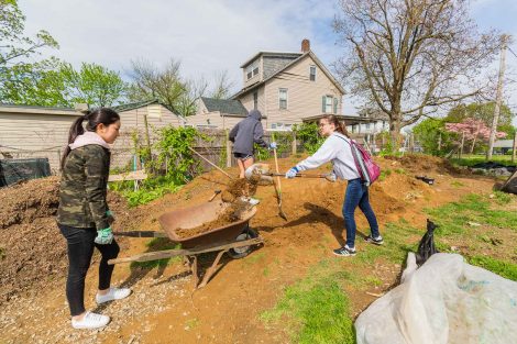 Students gardening at Easton Urban Farm for Lafapalooza