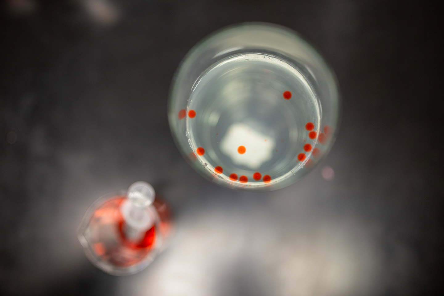 Chemicals that create food spheres