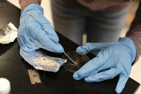 High school student Trisha Pakkala collects dried solution into a pile