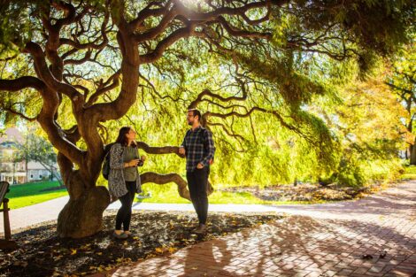 students set against the beautiful oranges and yellows of fall scenery at Lafayette