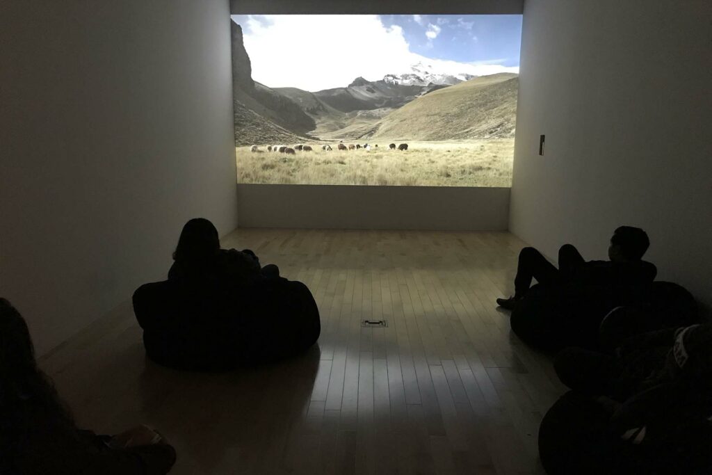 Viewers watch Karina Aguilera Skvirsky's film