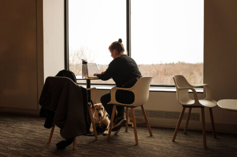 a student studies in risc