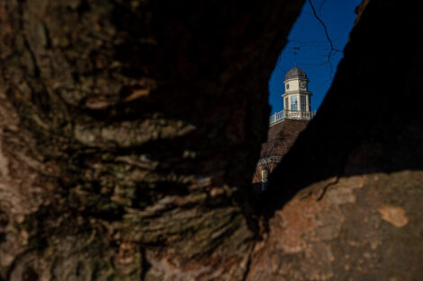 Kirby House framed through the trees