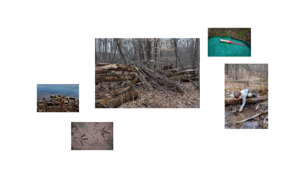 a grouping of photos that include bird tracks, a bloody knife, and a boy playing in a puddle