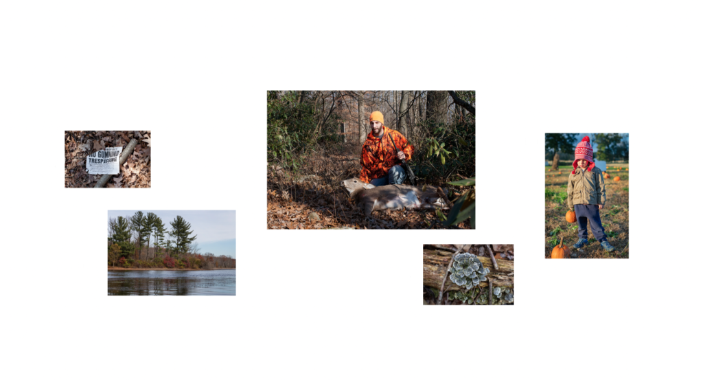 a grouping of photos that show nature and a man with a recently shot deer
