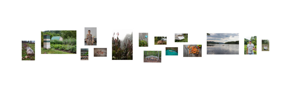 the image lays out what photos will appear on a wall