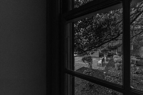 Black and white image of a tree through a window of Pardee Hall.