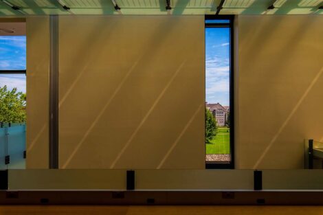 Sun reflects off of an off-white wall; a view from the window showcases blue skies and the Quad.