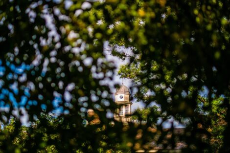 Kirby House is seen through tree leaves