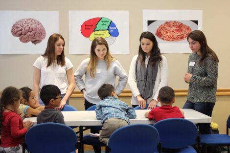 Four students engage kindergarteners in discussion on the brain
