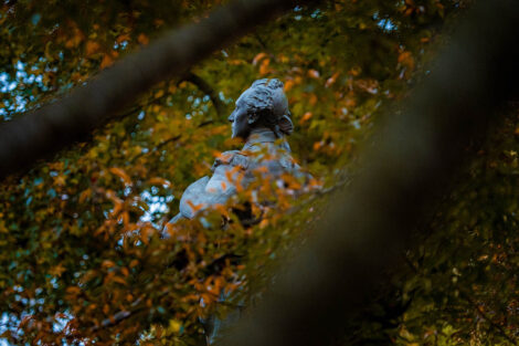 fall leaves and the statue of the Marquis