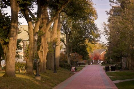 fall foliage on campus near Pardee