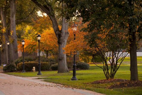 fall foliage on campus