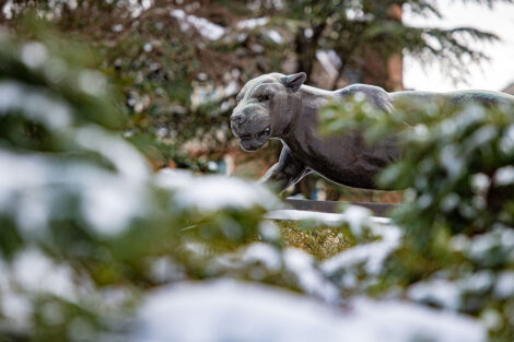 snow covers trees near the Leopard statue on campus