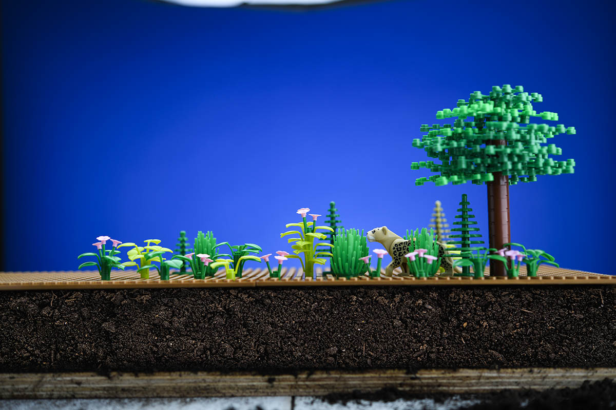 Legos depict trees in front of a blue background