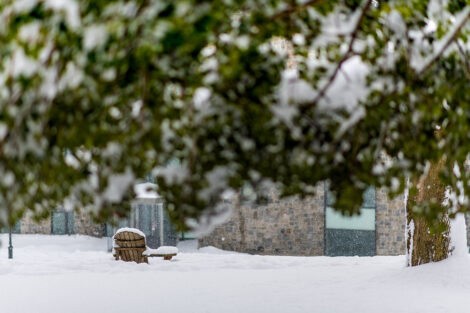 Adirondack chair surrounded by snow