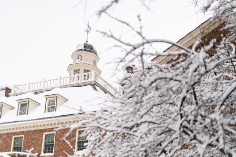 A tree covered in snow and the top of a building