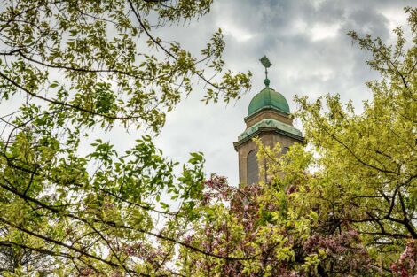 Colton Chapel surrounded by cherry blossoms.