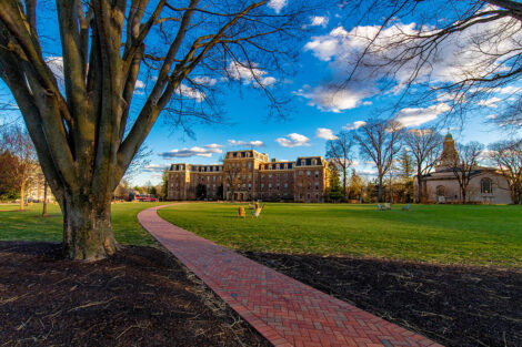 A brick path next to a bare tree, surrounded by bright blue sky with white, fluffy clouds. Pardee Hall is in the distance.