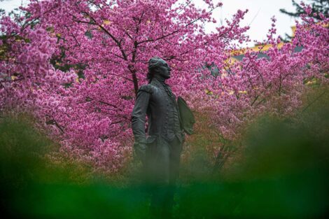A statue of the Marquis de Lafayette, in front of Colton Chapel and pink trees.