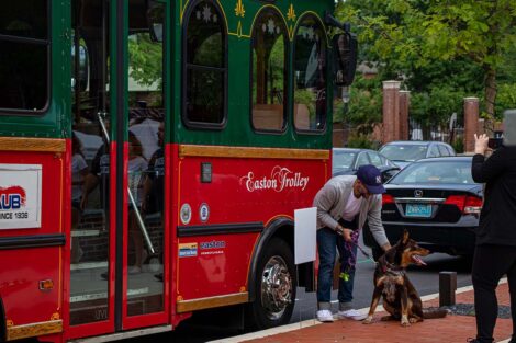Trolley outside Trolley Stop, man with dog